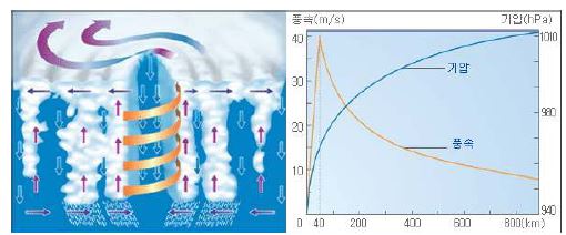 그림 3.9 태풍의 구조 및 태풍의 기압과 풍속의 분포