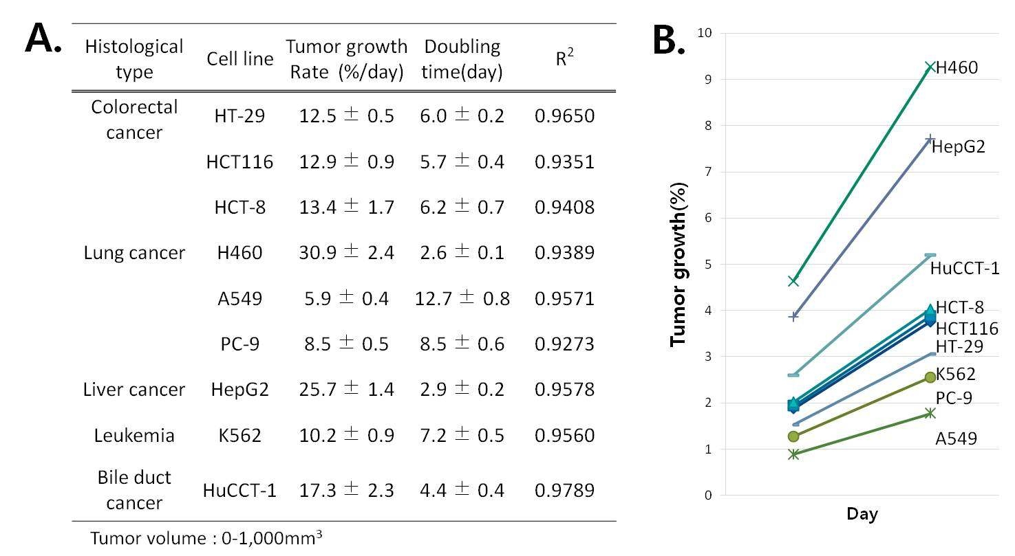 장기별, 세포주별 종양성장속도와 doubling time