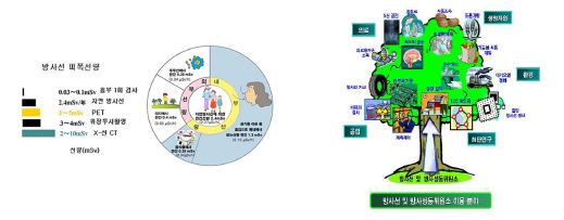 생활 속 방사선 이용과 피폭