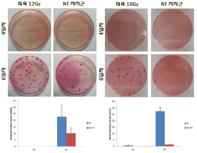 Neurotensin 투여에 의한 Bacterial translocation의 변화