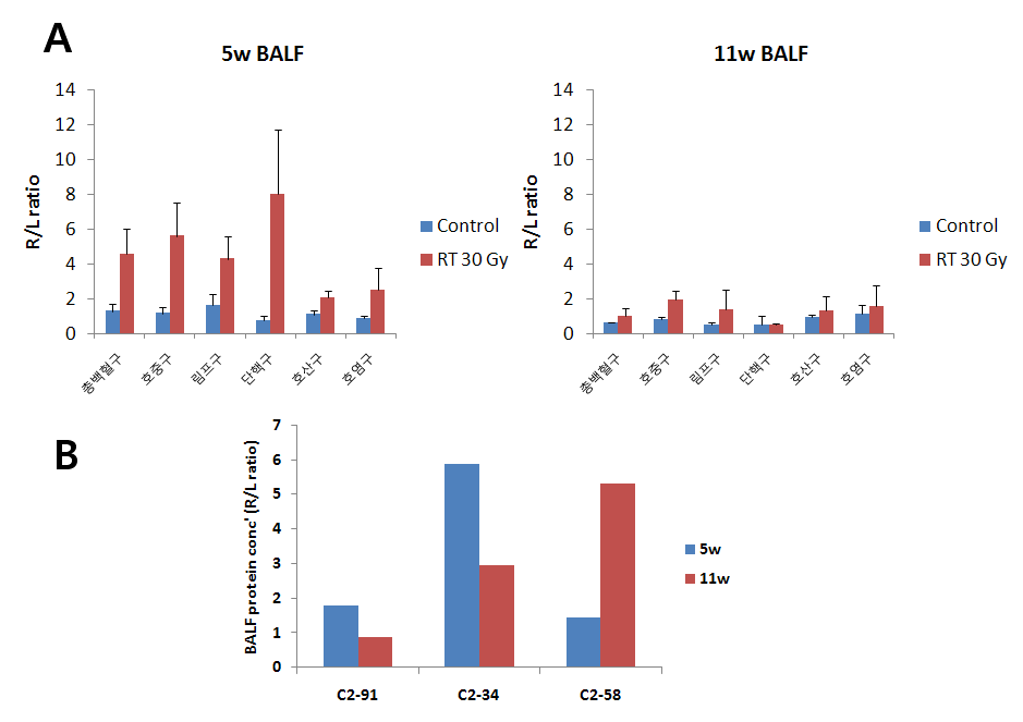 BALF에서의 시간에 따른 CBC 변화 및 단백질농도 변화