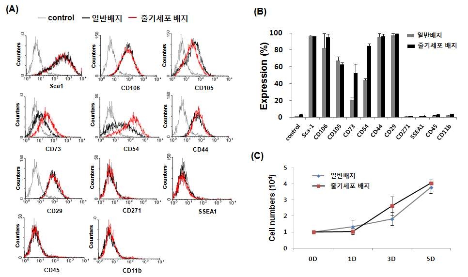 일반배지 와 줄기세포 배지에서 배양된 피부세포에서 간엽성 줄기세포 표지자 발현 분석