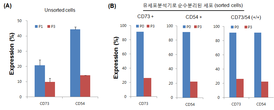 계대배양에 따른 후보 표적표지자 (CD73 또는 CD54)의 발현 양상