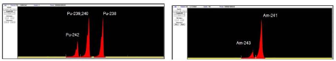 Pu, Am 동위원소 순수분리후 측정된 스펙트럼