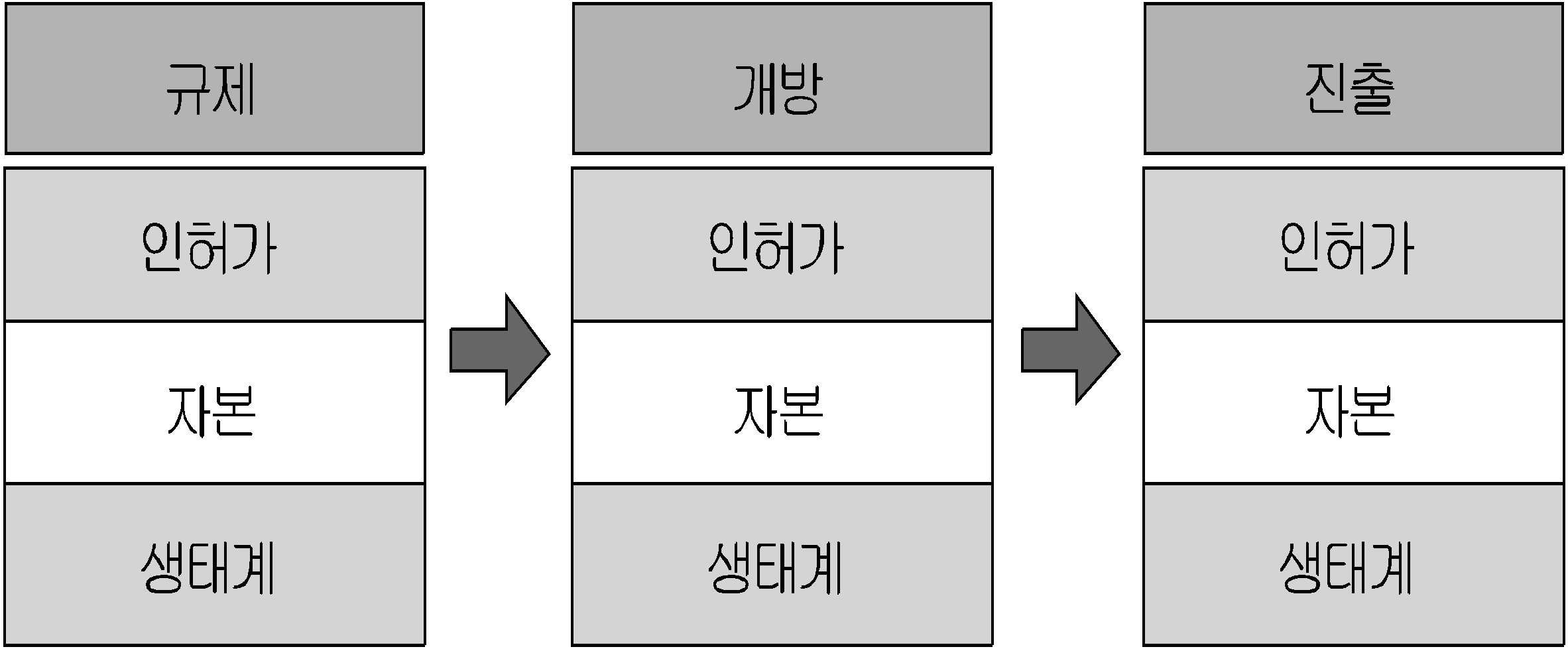 규제, 개방 및 진출의 동학