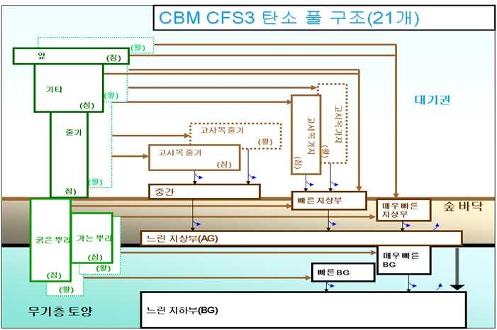 일본의 산림경영을 통한 흡수량 추세 및 영급구조