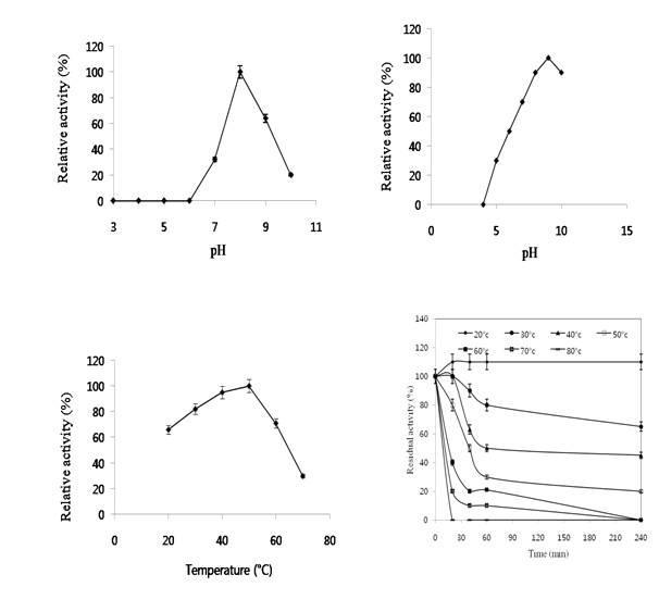 (A) Effects of pH on the activity of S. crispa esterase. The activity was measured at various pH values and presented as a percentage of the maximum activity. (B) The pH stability profile of S. crispa esterase. The enzyme was incubated in various buffers with a pH range from 3.0-10.0 for 24 h at 4°C. The reaction mixture contained the enzyme and the p-nitrophenyl acetate substrate were assayed by standard assay conditions, and the residual activity was calculated. (C) Effects of temperature on esterolytic activity of S. crispa. The reaction mixture containing the enzyme and p-nitrophenyl acetate were incubated at various temperatures for 10 min. The esterase activity was measured by standard assay conditions. (D) The enzyme solution was incubated in a water bath, with a temperature range of 20-80°C by 10°C increments from 20 min to 4 h. The percentage of residual activities was calculated by comparing with unincubated enzyme.