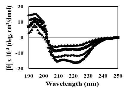 CD spectra of lectin in the presence of 10 mM Tris-HCl buffer, pH 9.0 (▲), LPS (●), mannan (■) and laminarin (♦).