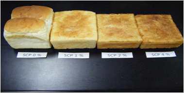 External view of bread wiith various levels of SCP 0 %, 1 %, 2 %, 4 %.