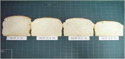 Cut loves of improved quality of bread added with 0.3 %, 0.5 %, 0.8 % freeze dried Sparassis crispa powder.