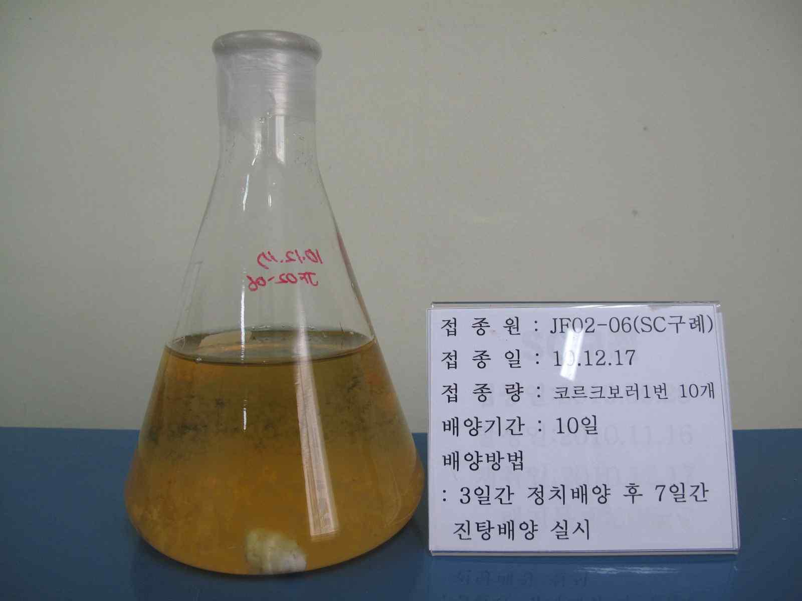 The cultured JF02-06 strain in liquid media for 10 days.