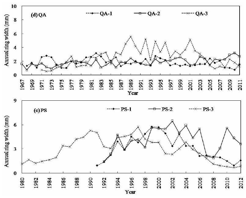 그림 10-2. 붉가시나무(QA), 산벚나무(PS)의 연륜 너비 변화.