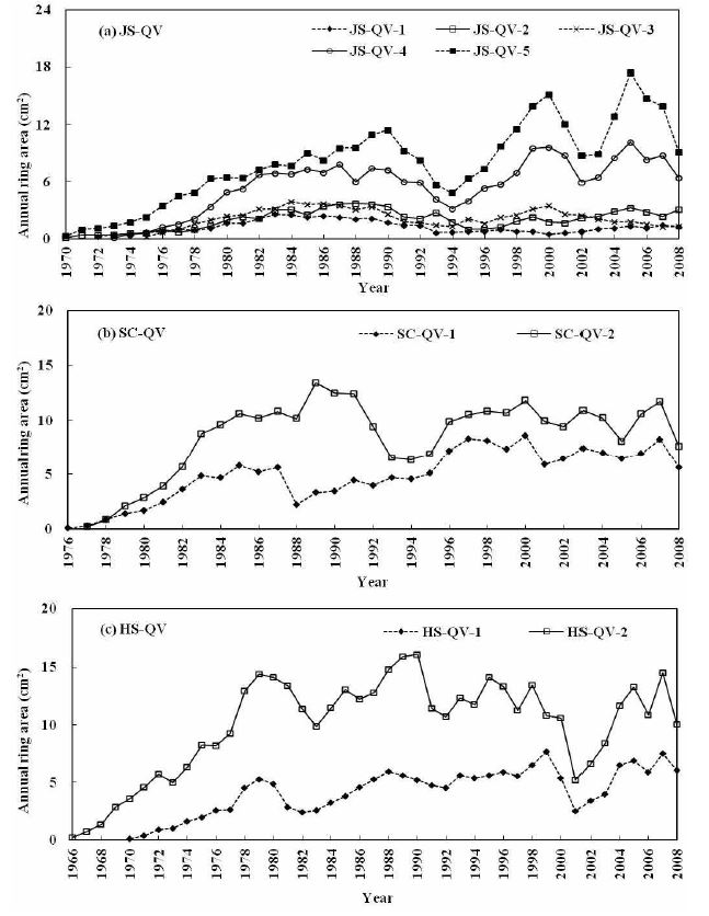 그림 11-1. 굴참나무(QV)의 연륜 면적 변화