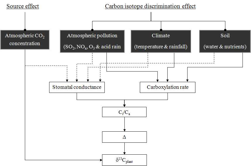 그림 17. 대기 CO2 농도와 대기오염물질, 기후, 토양 조건에 따른 식물체의 탄소동위원소분할지수(Δ)와 δ13C의 변화 기작 모식도.