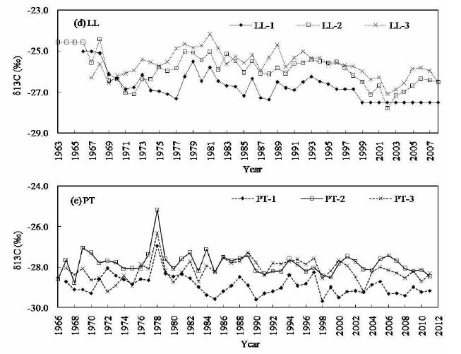 그림 18-2. 일본잎갈나무(LL), 곰솔(PT) 연륜의 탄소동위원소비 변화.