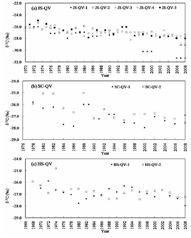 그림 21-1. 굴참나무(QV) 연륜의 탄소동위원소비 변화.