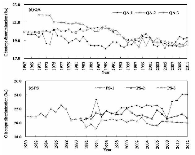 그림 22-2. 붉가시나무(QA), 산벚나무(PS) 연륜의 탄소동위원소분할지수 변화.
