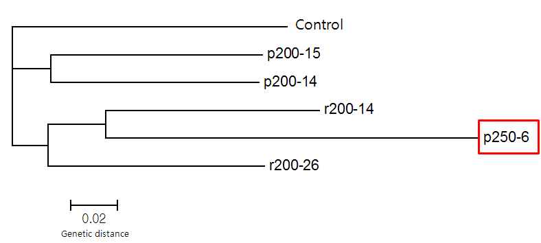 그림 13 선발된 형태변이개체들의 유전다양성 비교