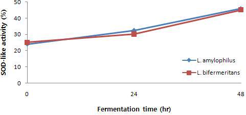Changes of SOD-like activity during fermontation by Lactobacillus amylophilus and bifermeritans in Chestunt inner shell at 37℃