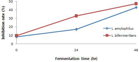 Changes of Nitric oxide radical inhibition activity during fermontation by Lactobacillus amylophilus and bifermeritans in Chestunt inner shell at 37℃