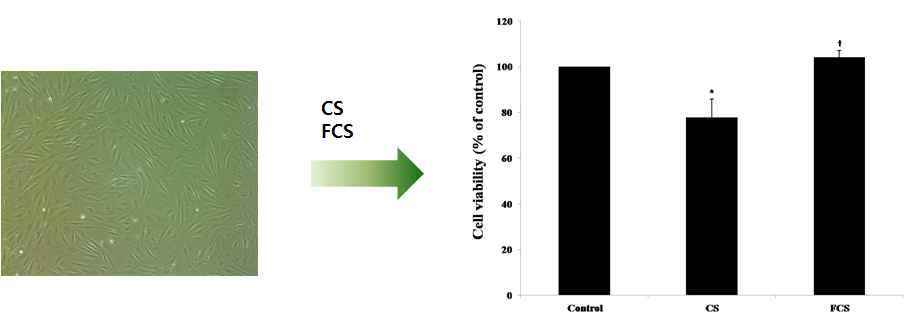 Effect of Castanea crenata inner shell extracts (CS) and fermented Castanea crenata inner shell extracts (FCS) cytotoxicity in HS68 cells.