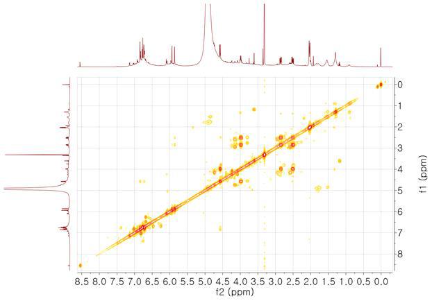 1H-1H COSY NMR spectrum(500MHz) of CIeB3d in CH3OH-d4 from n-BuOH fractions
