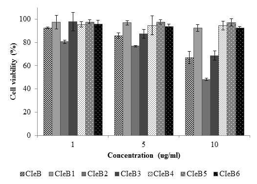 Effect of CIeB fractions on cell viability in HMC-1 cells.