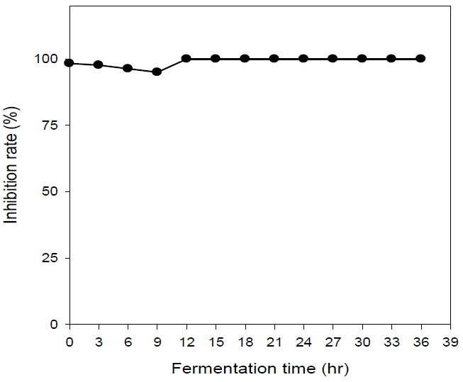 Change of ABTS radical cation decolorization during Jar fermentor fermentation by Lactobacillus amylophilus in Chestnut Shell Sieb at 37℃