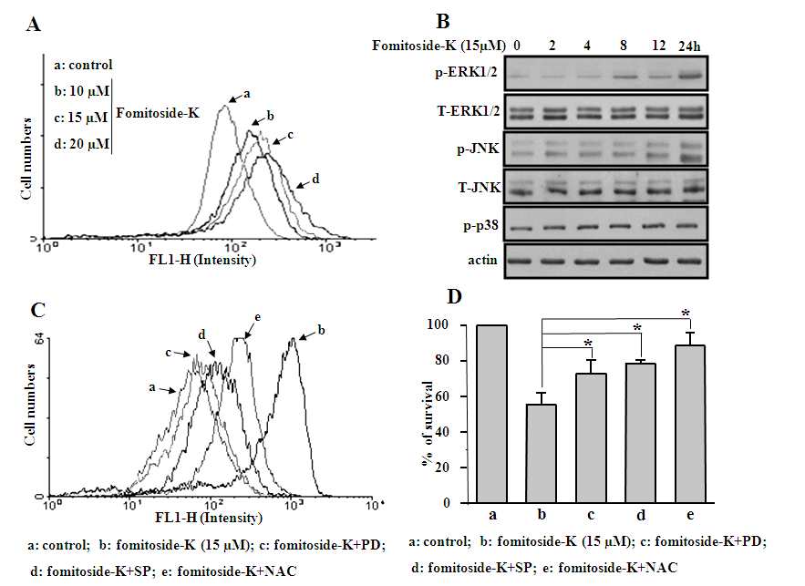 그림 103. Fomitoside K의 구강암세포주에서 apoptosis 활성으로 ROS 생성에 미치는 영향.