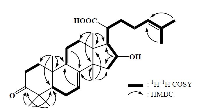 그림 14. 1차원 및 2차원 NMR 실험에 의하여 규명된 화합물 FP-1의화학구조.