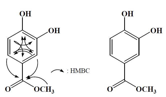그림 18. HMBC spectrum에 의하여 해석된 화합물 FP-3의 화학구조.