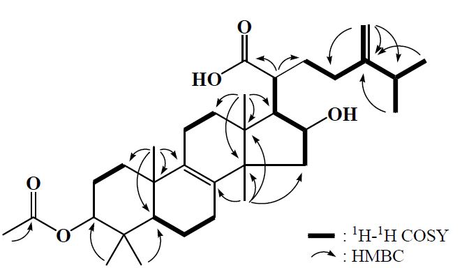 그림 26. 1차원 및 2차원 NMR 실험에 의하여 규명된 화합물 FC-1의화학구조.