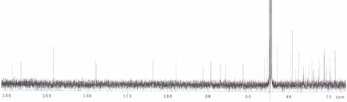 그림 45. 화합물 FC-51-8(= fomitoside K)의 13C NMR spectrum.