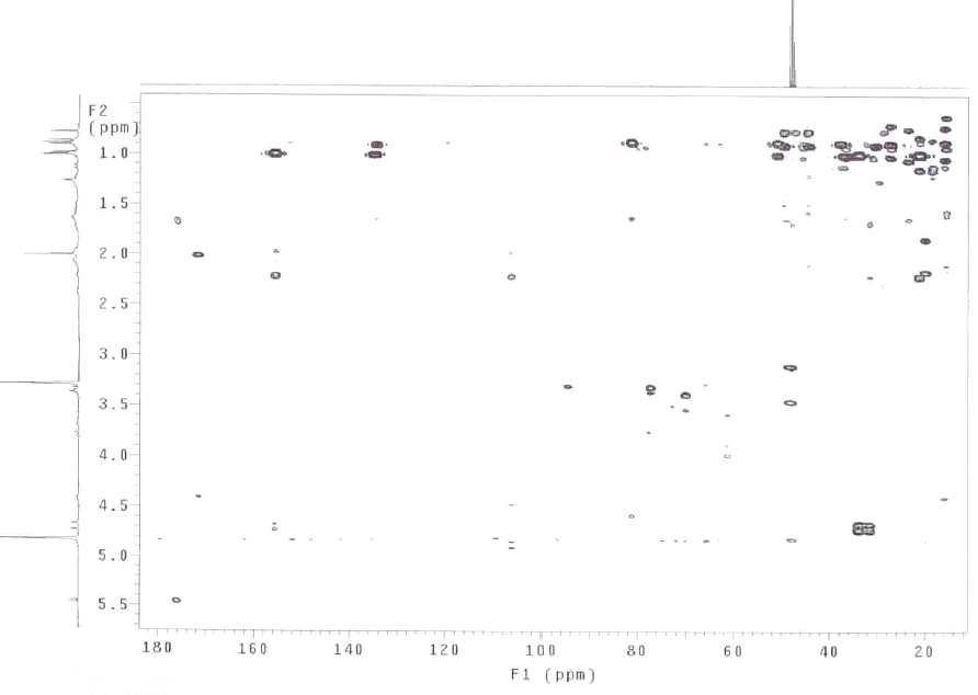 그림 49. 화합물 FC-51-8(= fomitoside K)의 HMBC spectrum.