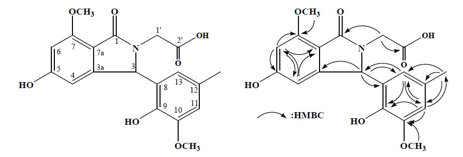 그림 65. 1차원 및 2차원 NMR 실험에 의하여 규명된 화합물 DCE-2(= daldinan B)의 화학구조