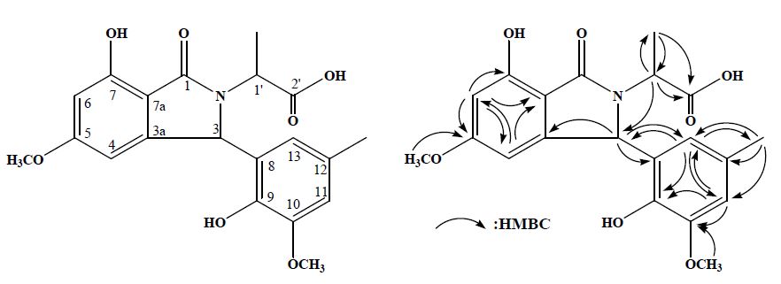 그림 70. 1차원 및 2차원 NMR 실험에 의하여 규명된 화합물 DCE-3(= daldinan C)의 화학구조