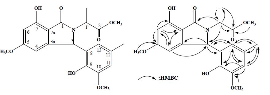 그림 82. 1차원 및 2차원 NMR 실험에 의하여 규명된 화합물 DCE-5(= methyldaldinan C)의화학구조.