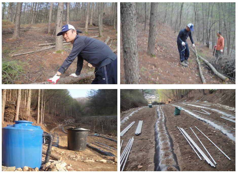 Construction of experimental plot