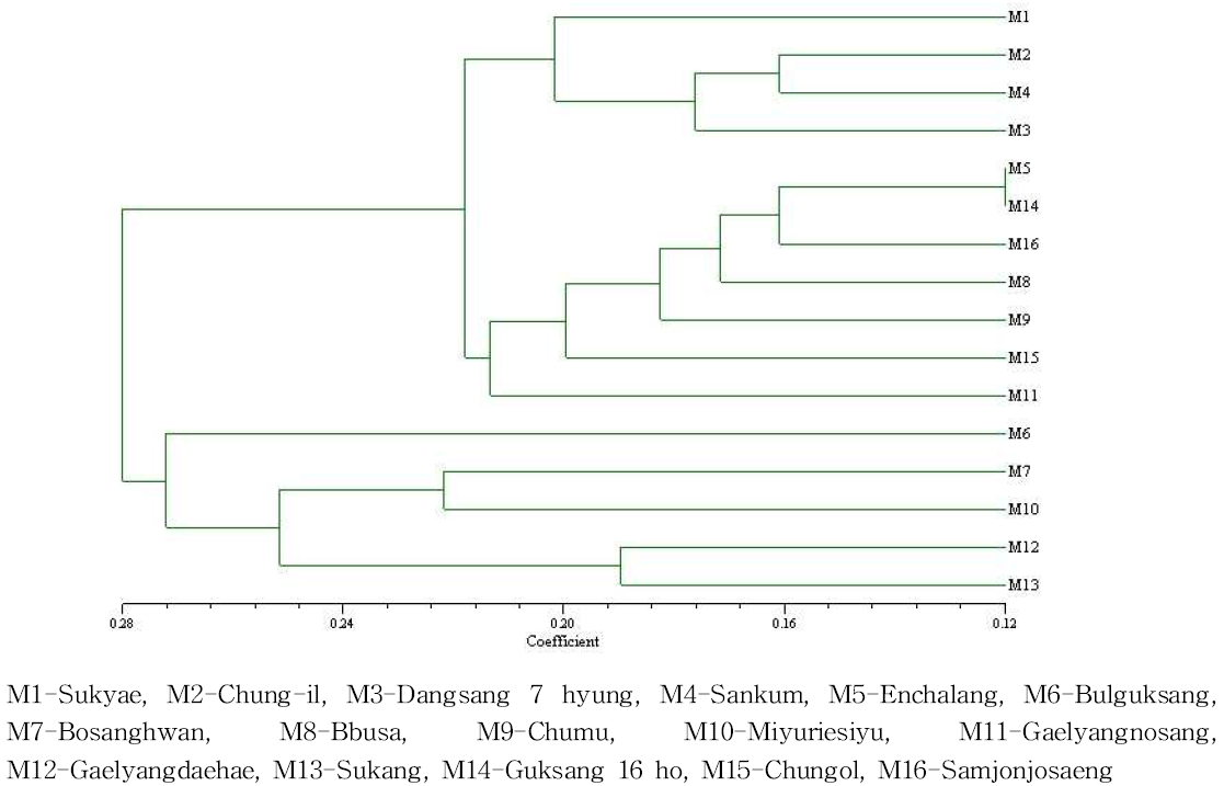 Dendrogram derived from UPGMA clustering analysis using Nei coefficient of RAPD marker.