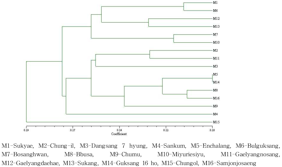 Dendrogram derived from UPGMA clustering analysis using Nei coefficient of ISSR marker.