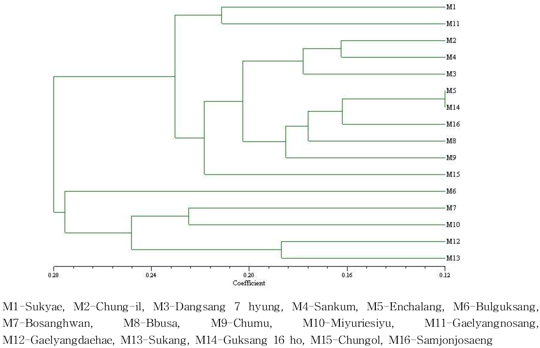 Dendrogram derived from UPGMA clustering analysis using Nei coefficient of RAPD and ISSR marker.