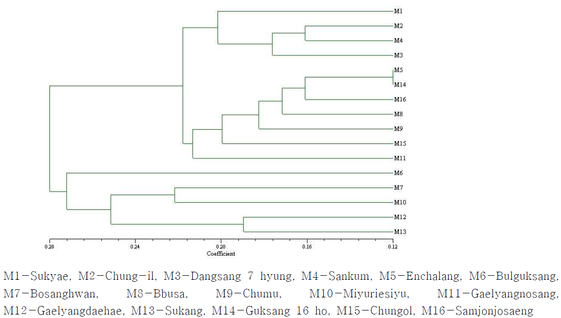 Dendrogram derived from UPGMA clustering analysis using Nei coefficient of RAPD marker.