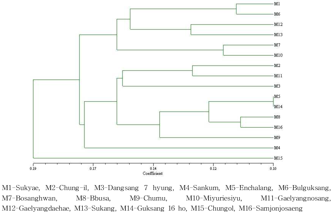 Dendrogram derived from UPGMA clustering analysis using Nei coefficient of ISSR marker.