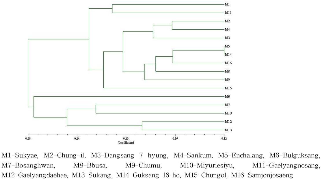 Dendrogram derived from UPGMA clustering analysis using Nei coefficient of RAPD and ISSR marker.