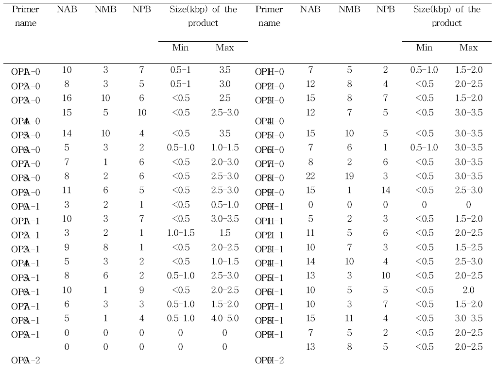 Primers, polymorphism, minimum and maximum size of the product amplified among 28 varieties