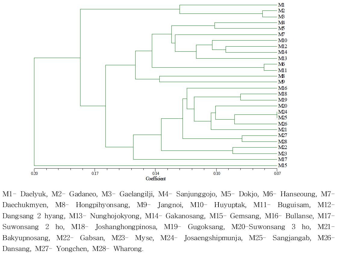 Dendrogram revealing the genetic diversity among the 28 mulberry cultivarsderived fromRAPD marker by UPGMA method