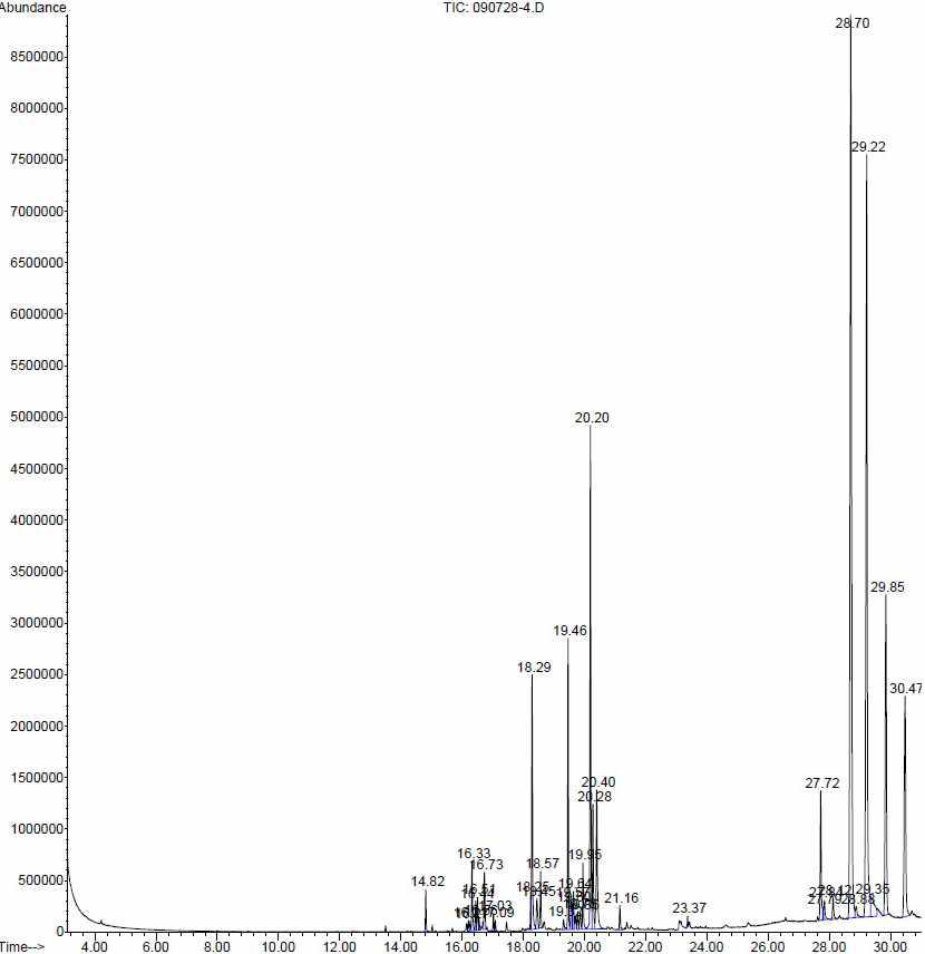 GC-MS analysis of hexane fraction from schisandra