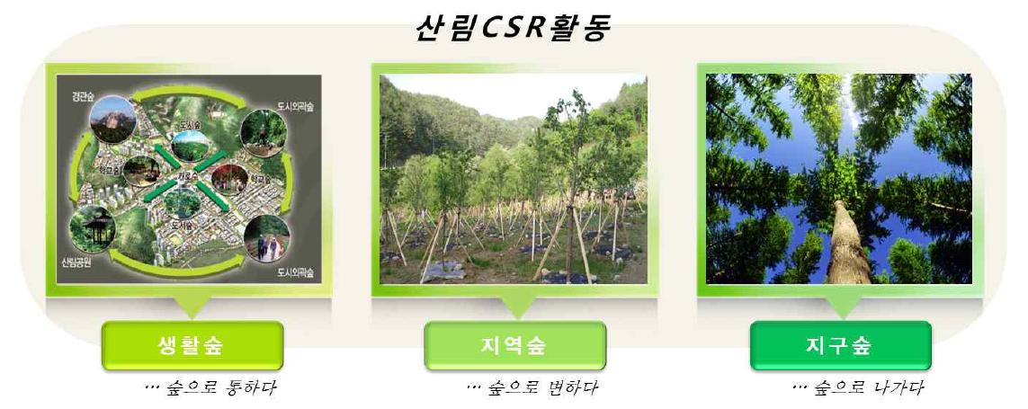 활동분야별 산림CSR활동