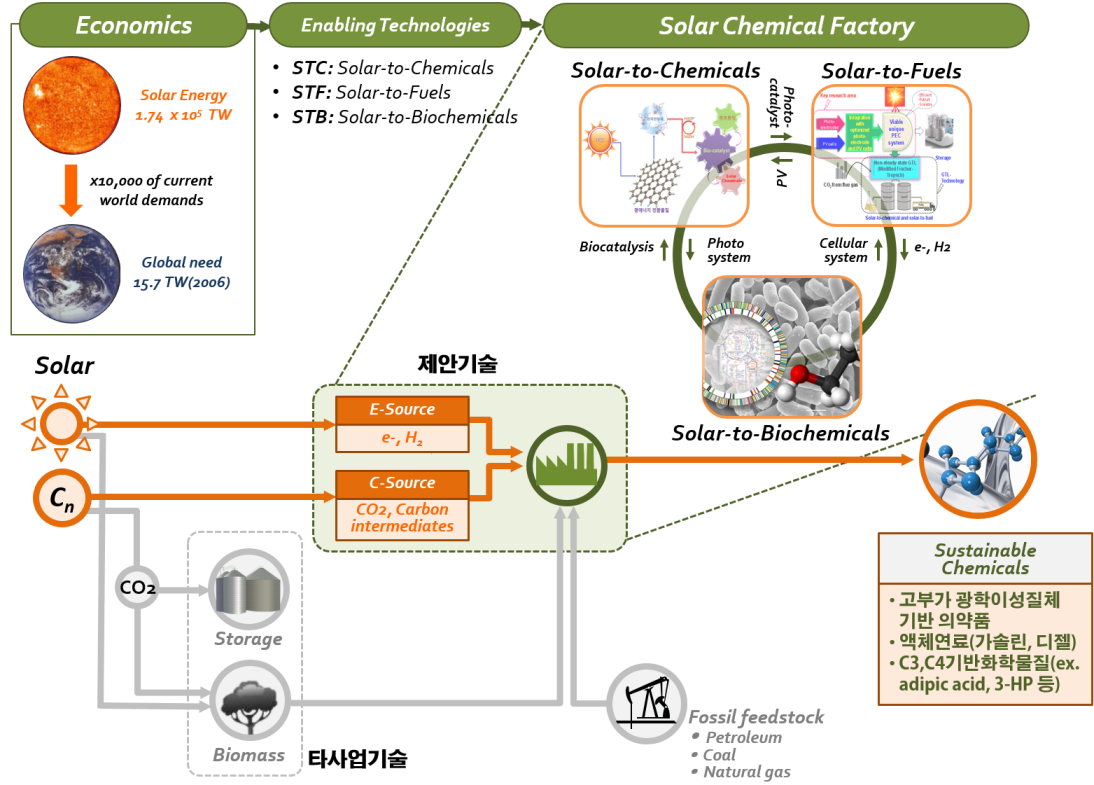 Sustainable Chemicals 플랫폼