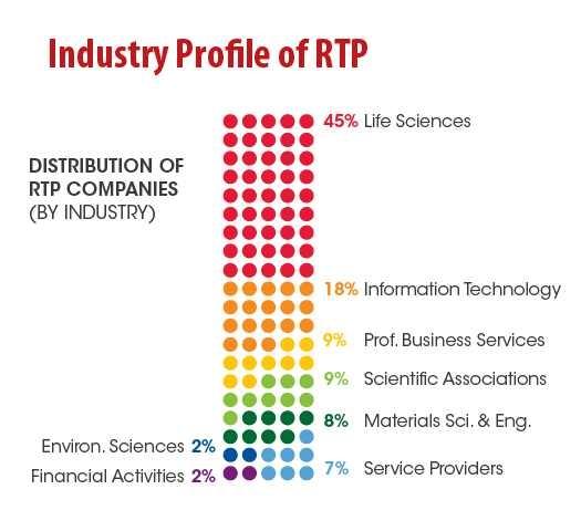 RTP의 산업 특성별 분포도